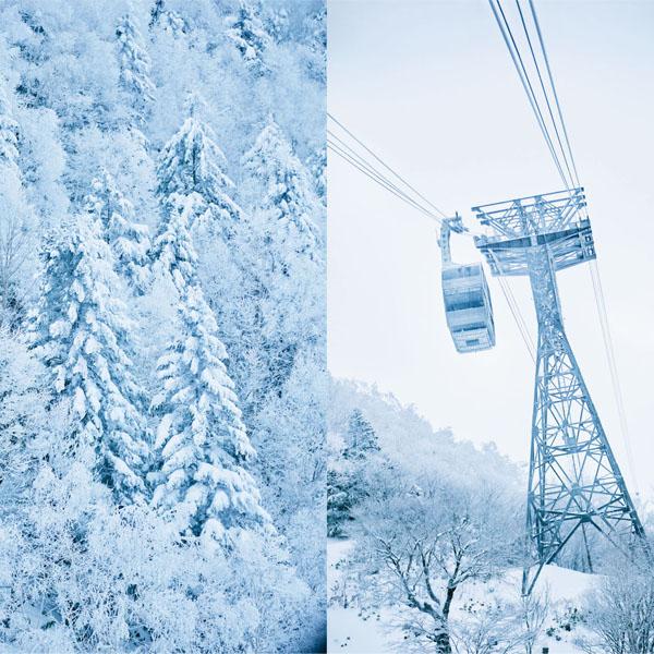 癒やしの旅・岐阜｜夢のように美しい雪景色！ 奥飛騨が織りなす“白い世界”でどっぷりおこもり