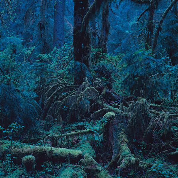 心の動く瞬間を掴まえて、世界にシャッターを切る。写真家・上田義彦の展覧会