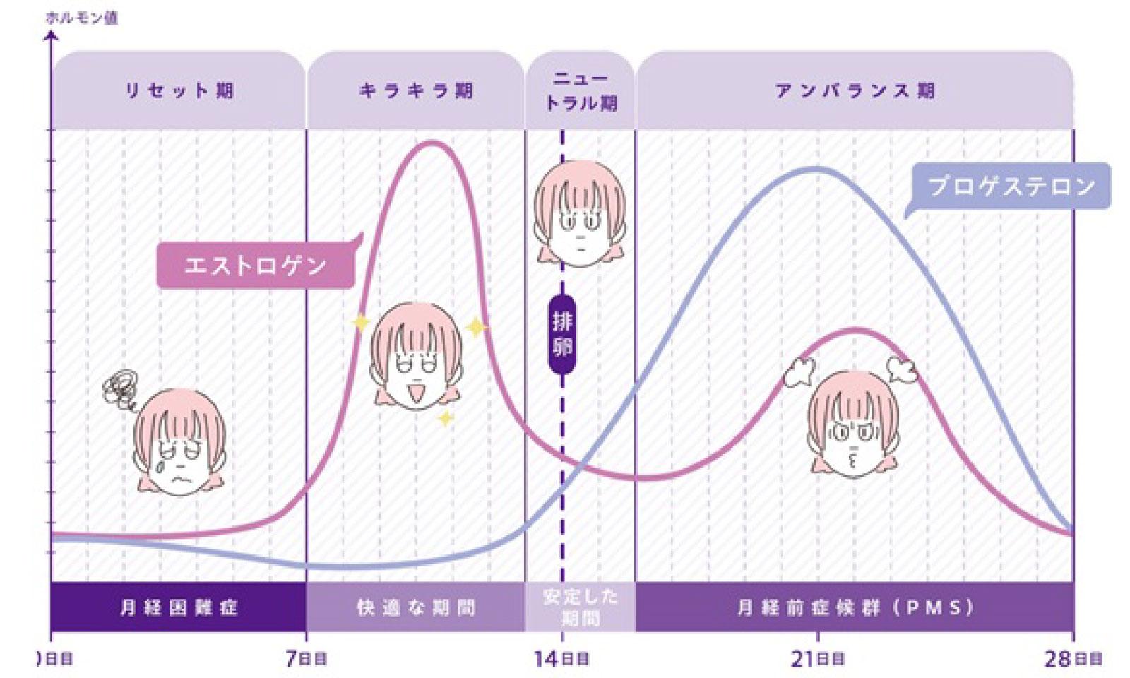 もう振り回されない！ ホルモンのバイオリズムを意識して暮らす「リズムケア」
