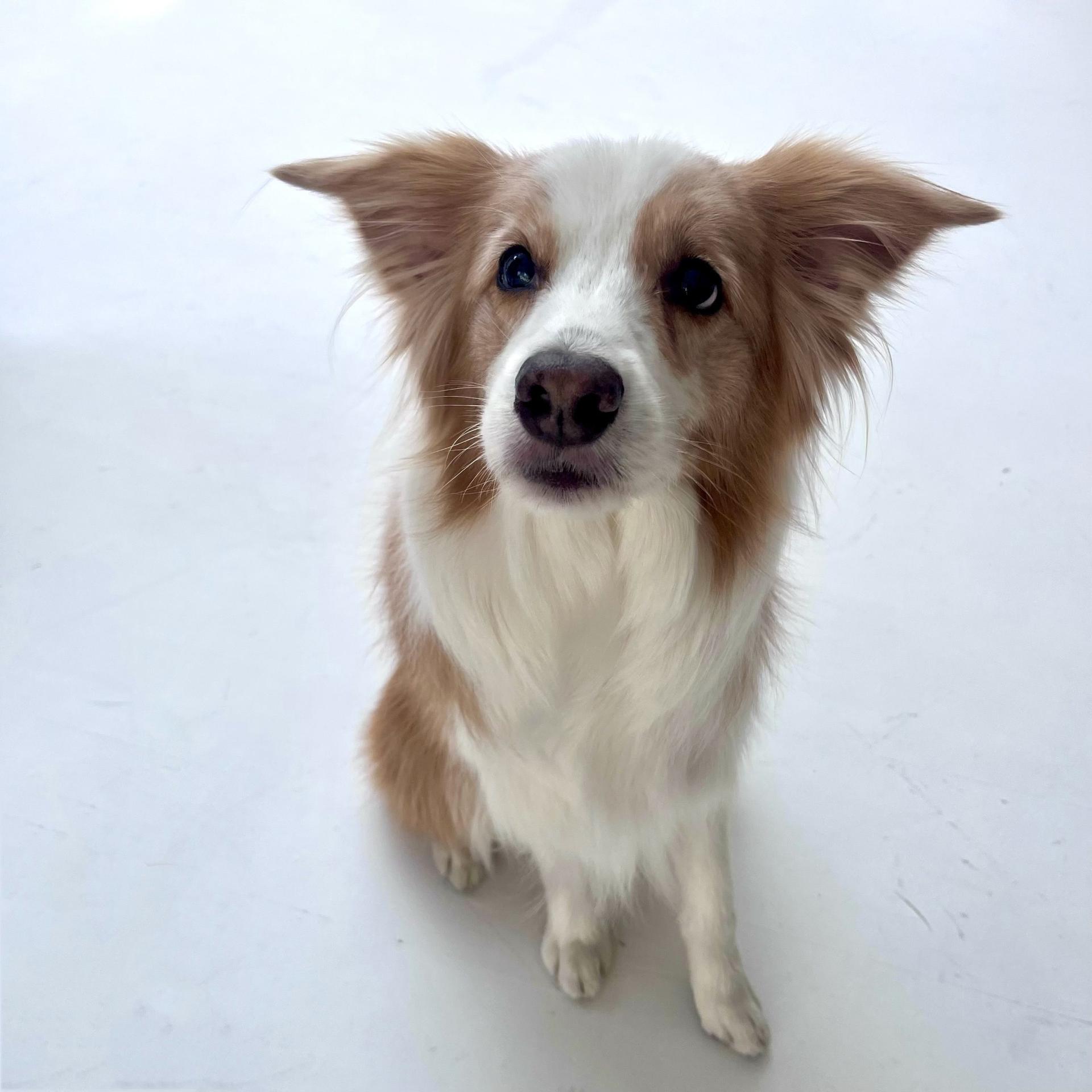 【From Editors】Aぇ! group連載「Aぇ! 男たち」第8回。意外なパステルファッション＆気分屋ワンちゃんにも優しさMAXな正門良規さんの撮影裏話