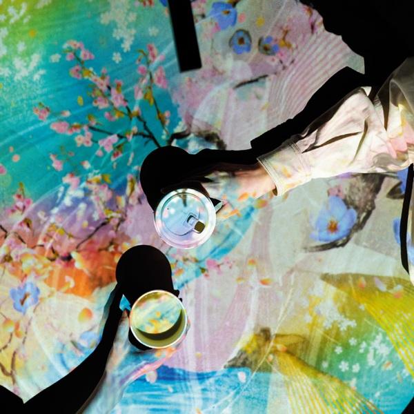 “光の茶室”で抹茶や和菓子とともに幻想的な世界に浸る! おでかけ体感スポット