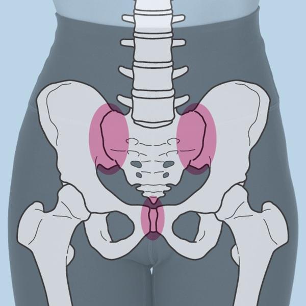 【骨トレ】骨盤を正しい位置に戻せば姿勢も整う! くびれラインの崩れをなおすメソッド