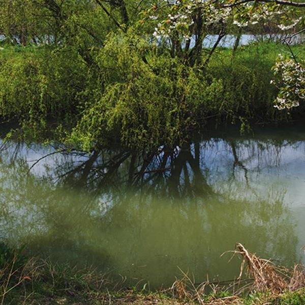 オランダと千葉をルーツとする3人の作家が見た風景とは? 注目の写真展