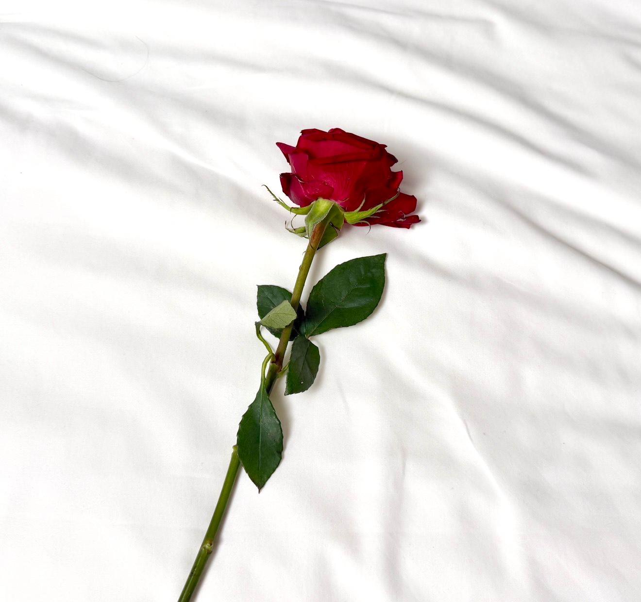 【COVER STORY】なにわ男子・藤原丈一郎さんが約2年半ぶりにソロ表紙に! 等身大の無邪気さとオトナの色気を纏った“30歳の現在地”を表現