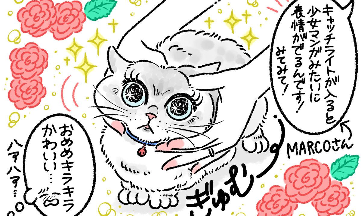 写真家・MARCOさんが伝授! 愛猫をかわいく撮るスマホ撮影6つのコツ